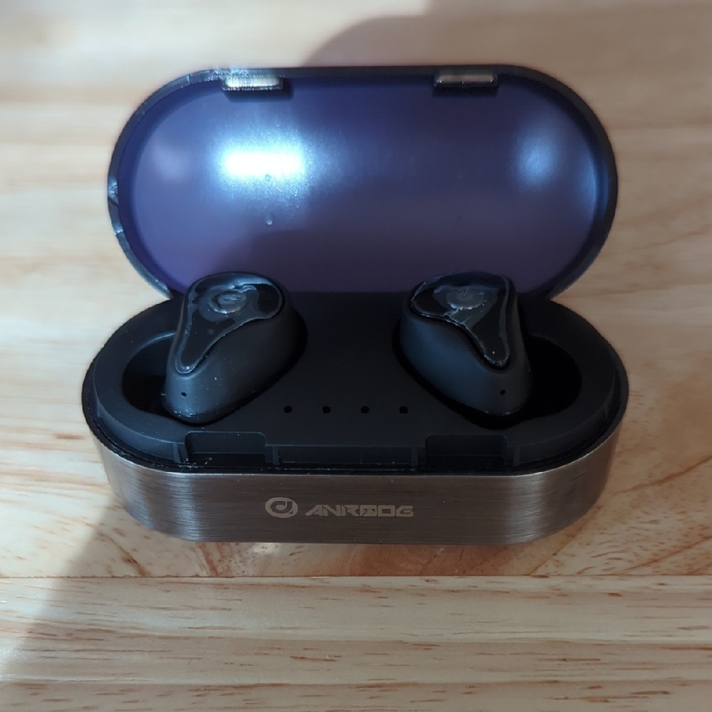 Ankbit Black Wireless Earbuds with Charging Case